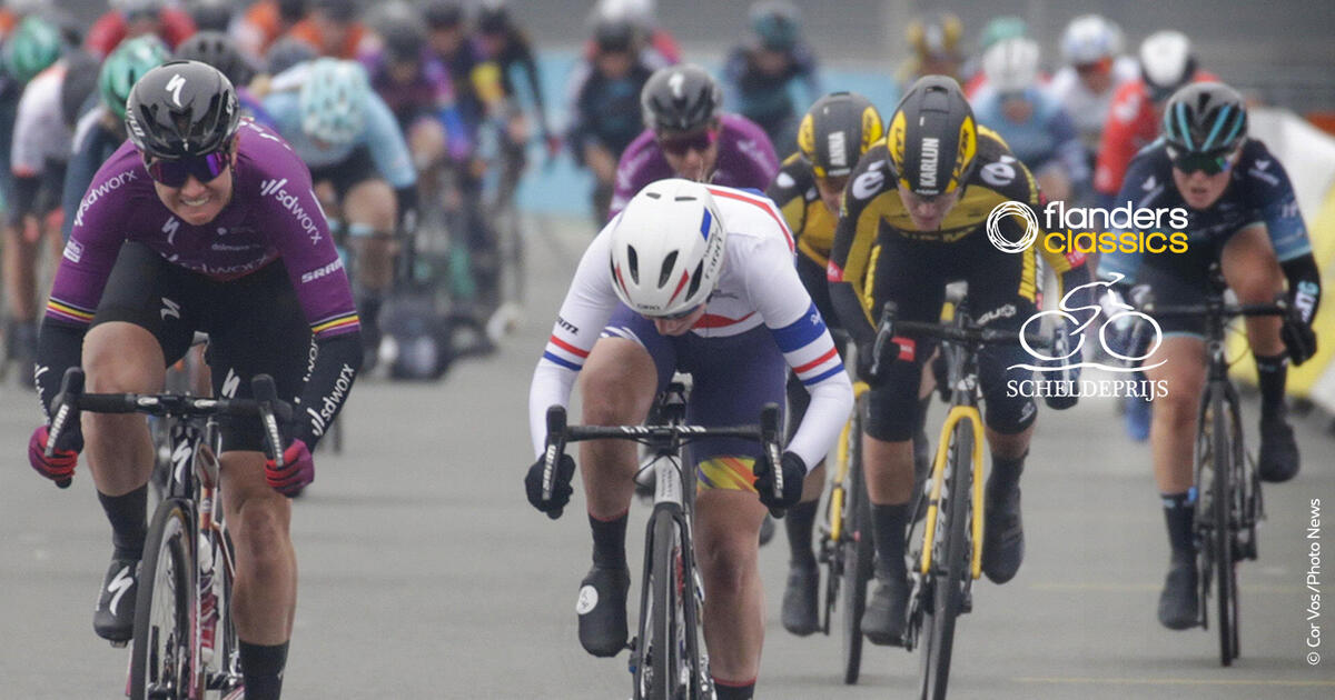 Livestream: de Scheldeprijs Elite vrouwen