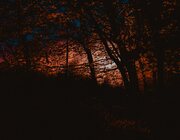 Horst Festival 2023 @ Asiat Park, Vilvoorde