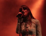 Merol - Gladiolen 2023