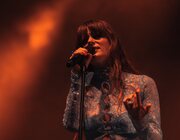 Merol - Gladiolen 2023