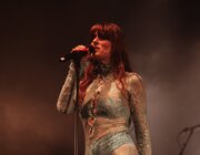 Merol - Gladiolen 2023