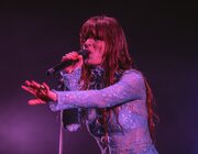 Merol - Gladiolen 2023