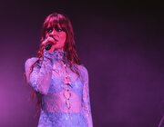 Merol - Gladiolen 2023