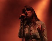 Merol - Gladiolen 2023