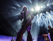 Warhaus @ Rock Werchter 2023, Werchter