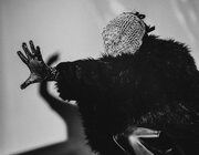 Oscar & The Wolf @ Rock Werchter 2023, Werchter