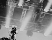 Arsenal @ Cactus Festival 2023, Brugge