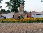 Sfeer @ Campo Solar 2023, Damme