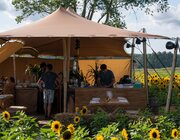 Sfeer @ Campo Solar 2023, Damme