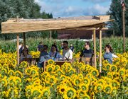 Sfeer @ Campo Solar 2023, Damme