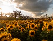 Sfeer @ Campo Solar 2023, Damme