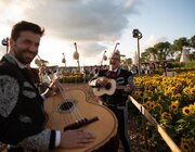 Sfeer @ Campo Solar 2023, Damme