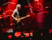 Sting @ Vorst Nationaal, Brussel