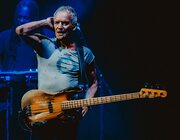 Sting @ Vorst Nationaal, Brussel