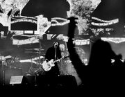 Foo Fighters @ Rock Werchter 2024, Werchter