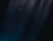 Foo Fighters @ Rock Werchter 2024, Werchter