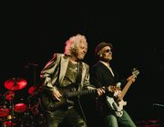 toto @ Rock zottegem 2024, Zottegem