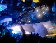 Steve Aoki @ Tomorrowland 2024, Boom