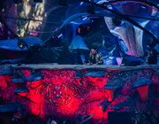 Tiësto @ Tomorrowland 2024 - Weekend 2/Dag3