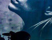 Amenra @ Pukkelpop 2024, Hasselt