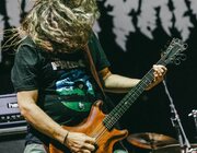 King Parrot @ Vorst Nationaal, Brussel