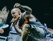 King Parrot @ Vorst Nationaal, Brussel