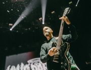 King Parrot @ Vorst Nationaal, Brussel