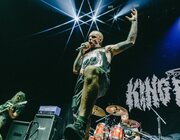 King Parrot @ Vorst Nationaal, Brussel