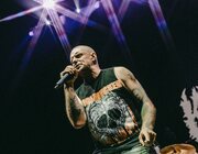 King Parrot @ Vorst Nationaal, Brussel