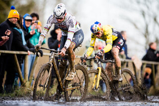 Un dernier duel entre Wout van Aert et Mathieu van der Poel à Maasmechelen