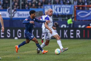 Michaël Frey Schalke 04 Bundesliga