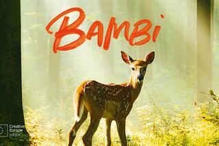 Bambi