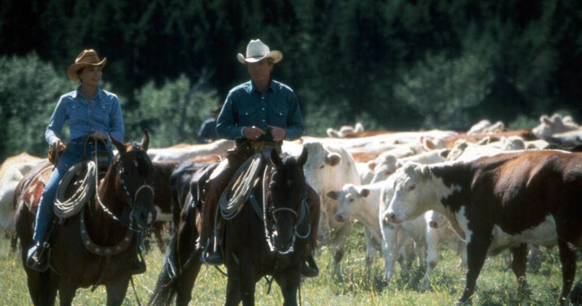 Buck Brannaman is de echte paardenfluisteraar van 'The Horse Whisperer'