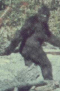 Les plus grands mystères de la nature