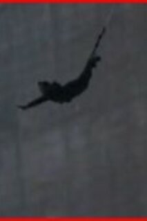 Les 10 meilleures cascades du cinéma