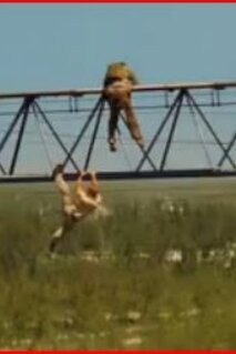 Les 10 meilleures cascades du cinéma