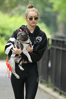gigi hadid