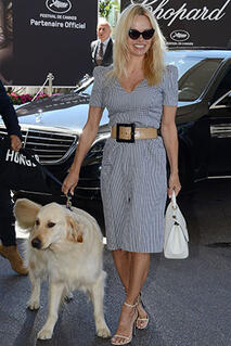 pamela anderson chien