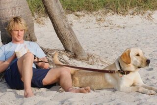 A ne pas manquer à la télé (du 1 au 7 juin) : 5 films pour les parents !