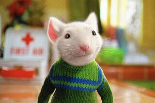 Stuart Little