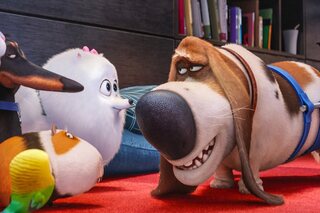 5 films om jonge dierenliefhebbers te plezieren onderweg naar je vakantiebestemming