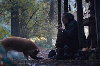Pig Nicolas Cage