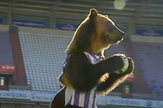 Een levend dier als mascotte: deze voetbalclubs houden vast aan hun aparte tradities