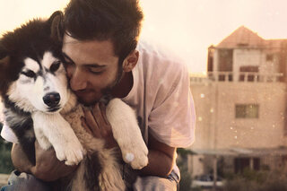 'Nos amis les chiens' programme animalier disponible sur Netflix à voir en Famille