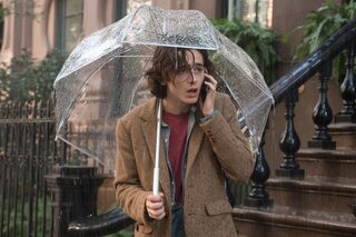 A rainy day in New York Timothee Chalamet