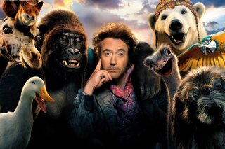 Les Razzie Awards nomment Robert Downey Jr., Anne Hathaway et Bruce Willis dans la catégorie des ‘pires acteurs’