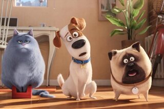 De leukste films voor kinderen die gek zijn op dieren
