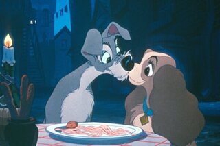 Lady & The Tramp