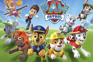 Pat'Patrouille, Nickelodeon, série animée, enfant, divertissement