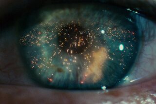 Dit wist je nog niet over het veertig jaar oude ‘Blade Runner’